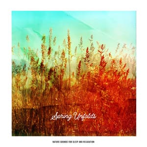 Spring Unfolds - Nature Sounds for Sleep and Relaxation