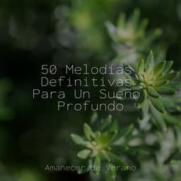 50 Melodías Definitivas Para Un Sueño Profundo - Meditación