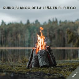 Ruido Blanco De La Leña En El Fuego Vol. 1 - Ruido Blanco Para Meditación Profunda