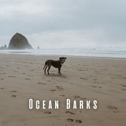 Ocean Barks: Enchanting Insects and Chill Music for Dogs - Non-stop Waves Channel