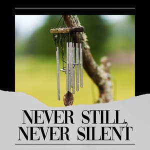 Never Still, Never Silent - Zen Garden Secrets