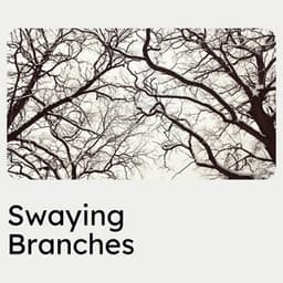 Swaying Branches - Nature Ambience