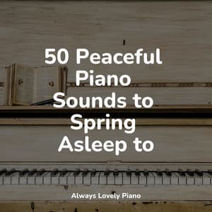 50 Piano Tracks for a Deep Chillout - Instrumental Piano Universe