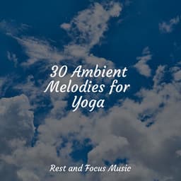 30 Ambient Melodies for Yoga - Echoes Of Nature