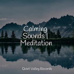 Calming Sounds | Meditation - Reiki Music
