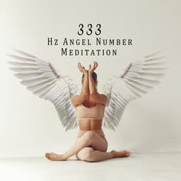 333 Hz Angel Number Inner Silence - Asha Age