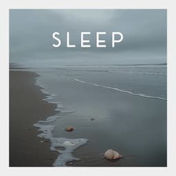 Restful Sound Slumber - Airplane Cabin Sound for Baby Sleep