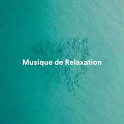 Musique de relaxation - Musique de Relaxation