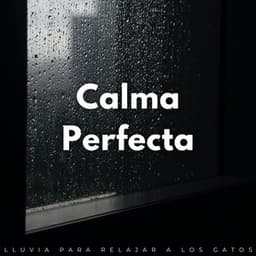 Calma Perfecta: Lluvia Para Relajar A Los Gatos - Lluvia París