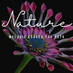 Whiskers and Woofs: Melodic Echoes for Pets - Pet Care Music Therapy