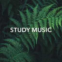 Study Music - Rain Recordings