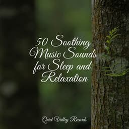 50 Soothing Music Sounds for Sleep and Relaxation - Baby Sleep Music