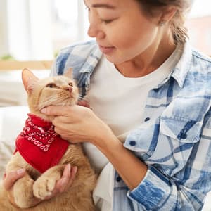 Tranquil Tide Petting: The Ambient Ocean's Soothing Interaction Delight - Music For Pets