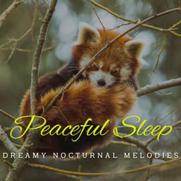 Piano Slumberscapes: Dreamy Nocturnal Melodies - Relaxing Piano Masters