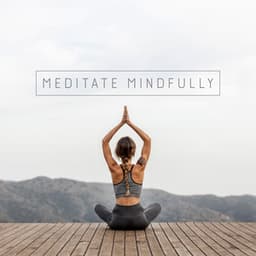 Meditate Mindfully - Beth Souls
