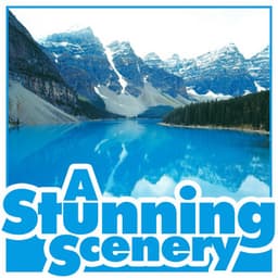 A Stunning Scenery - Life Sounds Nature