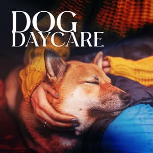 Dog Daycare - Alexander Swen