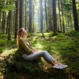 Flujo Lofi: Suaves Acordes Desplegados - Música en Alta Frecuencia