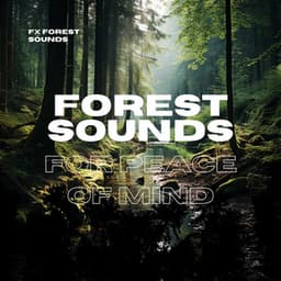 Forest Sounds for Peace of Mind - FX Forest Sounds