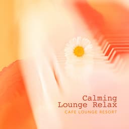 Calming Lounge Relax - Café Lounge Resort
