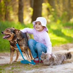 Forest's Comfort A Harmonious Soundscape for Tranquil Pet Bonding - Calming Music For Pets