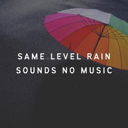 Same Level Rain Sounds No Music - Rain Relaxation