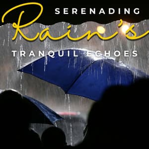 Rain's Tranquil Echoes: Serenity in Every Drop - Rain Noise Sleep