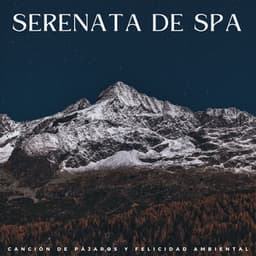 Serenata De Spa: Canción De Pájaros Y Felicidad Ambiental - Sonidos Naturales del Pajaro
