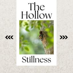 The Hollow Stillness - Ombrafonia