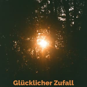 Glücklicher Zufall - Regen zum Schlafen