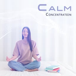 Calm Concentration: Ambience for Focus - Ambient 11