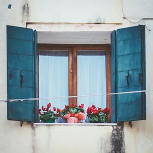 Why Won't You Love | Spiritual Rebooting Music - Nature Sounds