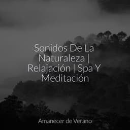 Sonidos De La Naturaleza | Relajación | Spa Y Meditación - Musica Para Dormir y Sonidos de la Naturaleza
