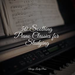 Calming Piano Hits to Bring You Divine Relaxation - Piano Music for Work