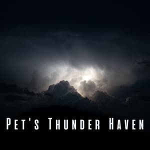 Pet's Thunder Haven: Soothing Binaural and Rain Sounds - Rain and Heavy Thunderstorm Sounds