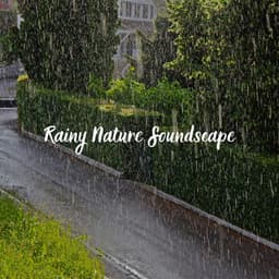 Rainy Nature Soundscape - Rain Recordings