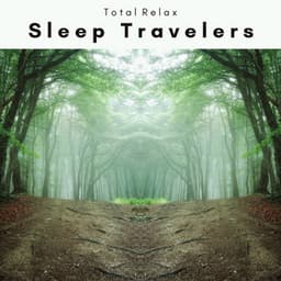 2022 Sleep Travelers - Nature Sounds