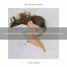 Careful Brown Noise and Wind Blows For Perfect Clamdown - Dreamy White Noise