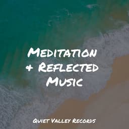 Meditation & Reflected Music - White Noise Sound Garden