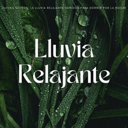 Dulces Sueños: La Lluvia Relajante Sonidos Para Dormir Por La Noche - Sonidos de Lluvia Ruido Blanco Dormir