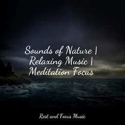 Sounds of Nature | Relaxing Music | Meditation Focus - White Noise Baby Sleep