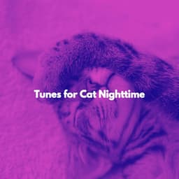 Tunes for Cat Nighttime - Vintage Cafe Ambiance