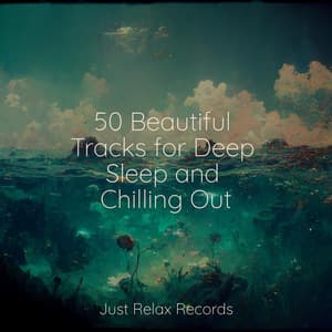 50 Beautiful Tracks for Deep Sleep and Chilling Out - Spa & Spa