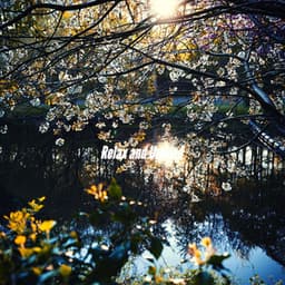 Relax and Unwind - Cool Jazz Lounge