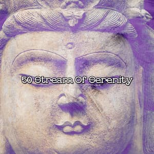 50 Stream Of Serenity - Relaxing Meditation Songs Divine