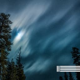 Night Sounds - Night Sounds