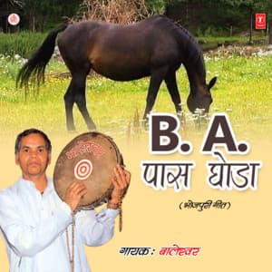 B.A. Pass Ghoda - Baleshwar