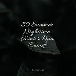 50 Summer Nighttime Winter Rain Sounds - Kinderlieder Megastars