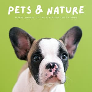 Pets & Nature: Serene Sounds Of The River For Cats & Dogs - Pure Dog Music