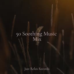50 Soothing Music Mix - Baby Lullaby